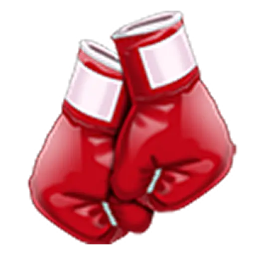 Boxing icon
