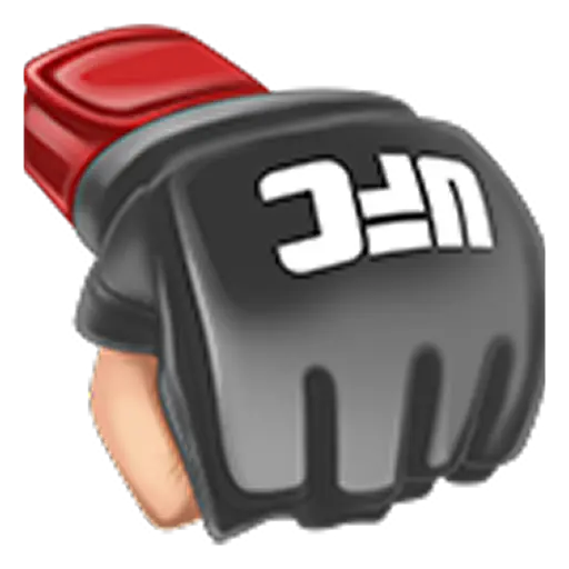 UFC icon